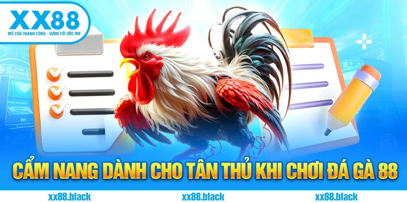 Cẩm Nang Dành Cho Tân Thủ Khi Chơi Đá Gà 88
