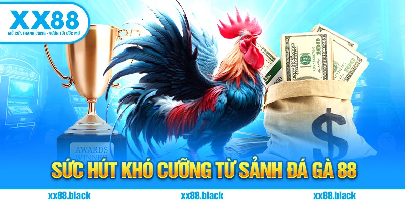 Sức hút khó cưỡng từ sảnh đá gà 88